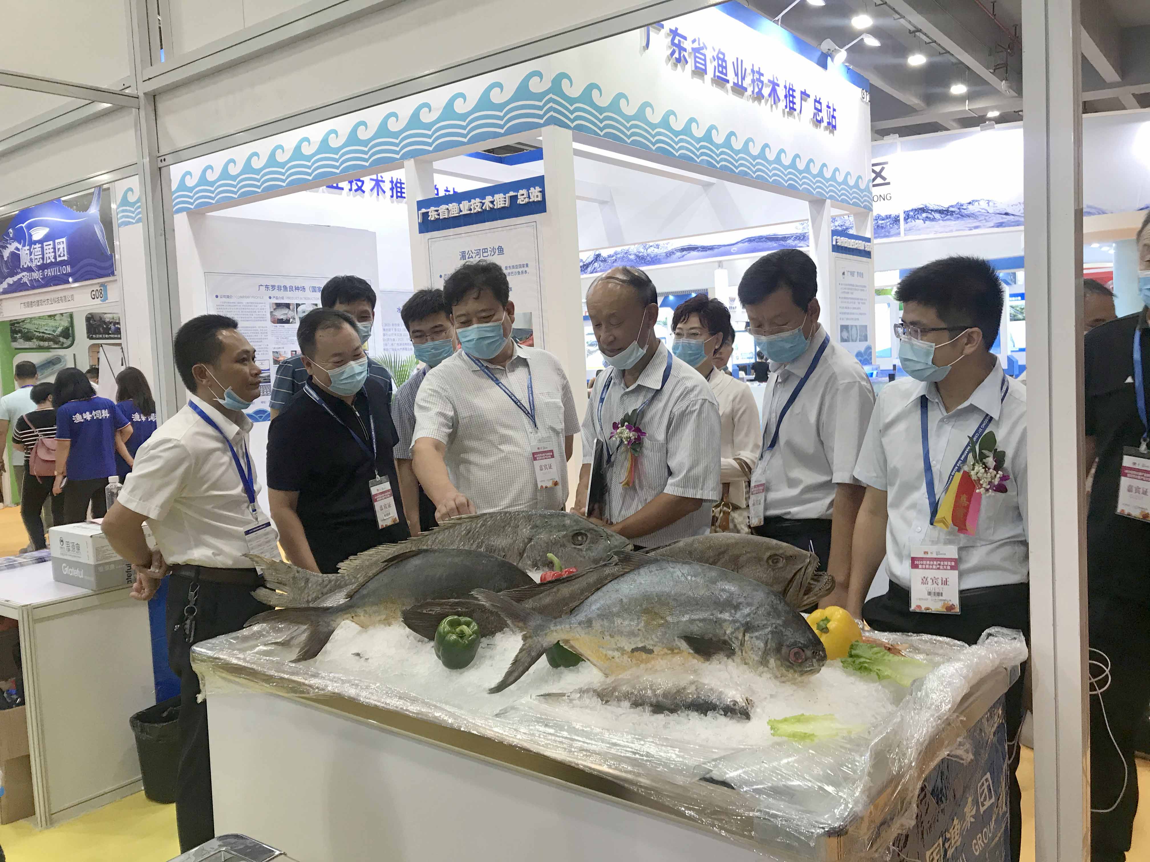 图片11.jpg 图片11.jpg